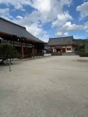 聖護院門跡の{uncategorized: "未分類", other: "その他", undefined: "問題あり", building: "その他建物", grave: "お墓", sacred_gate: "鳥居", guardian: "狛犬", statue: "像", buddha: "仏像", history: "歴史", nature: "自然", garden: "庭園", animal: "動物", pagoda: "塔", temizu: "手水舎", mountain_gate: "山門・神門", sanctuary: "本殿・本堂", subordinate: "末社・摂社", art: "芸術", scenery: "景色", jizo: "地蔵", ema: "絵馬", goshuin: "御朱印", omikuji: "おみくじ", items: "授与品その他", amulet: "お守り", goshuincho: "御朱印帳", eats: "食事", festival: "お祭り", votive_dance: "神楽", shichigosan: "七五三参", wedding: "結婚式", experience: "体験その他", initially: "初詣", around: "周辺", anti_infection: "感染症対策"}