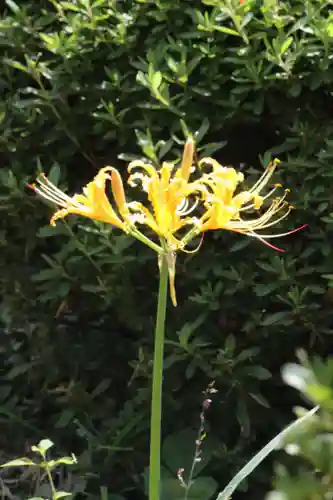 国宝 大法寺(長野県)