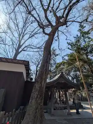 調神社(埼玉県)