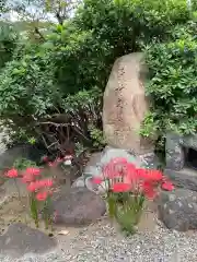 報土寺(東京都)