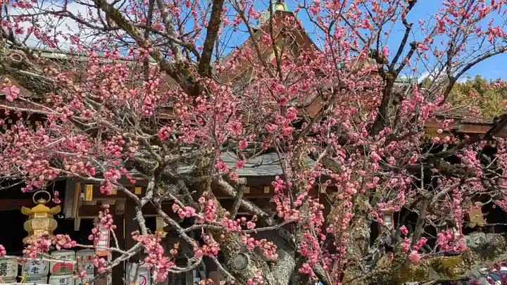 北野天満宮(京都府)