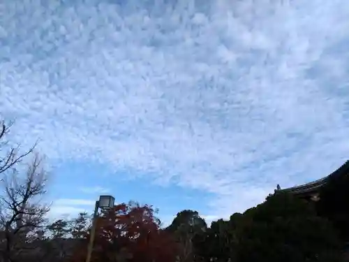  智積院(京都府)