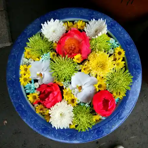 多賀神社の手水舎