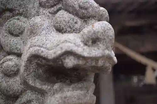 出雲乃伊波比神社の狛犬