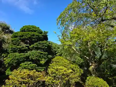 尊勝院(和歌山県)