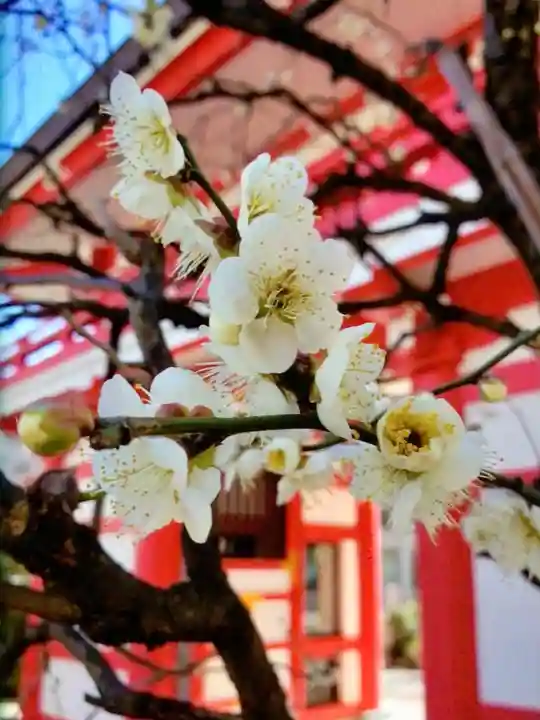 成子天神社(東京都)