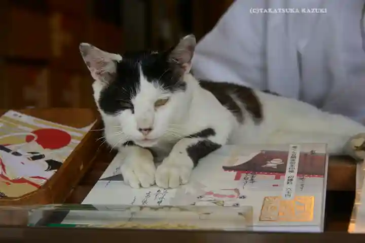 賀茂別雷神社(栃木県)