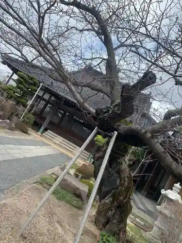 光妙寺の本殿・本堂