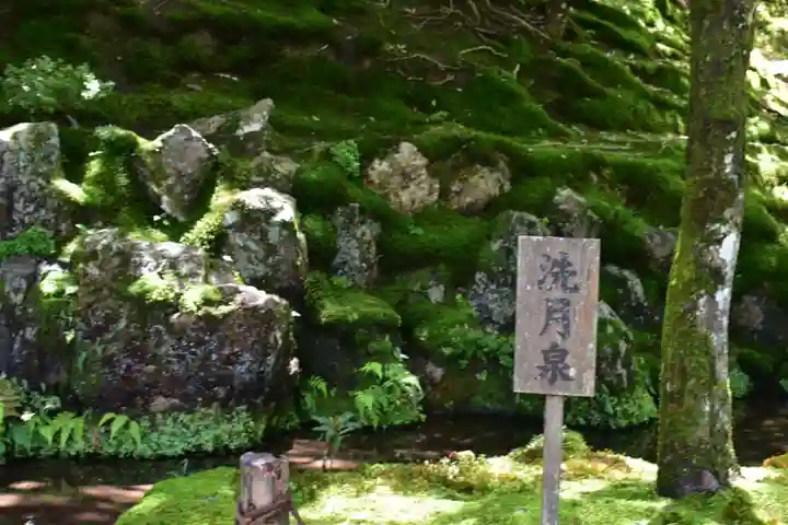 慈照寺(慈照禅寺・銀閣寺)の庭園