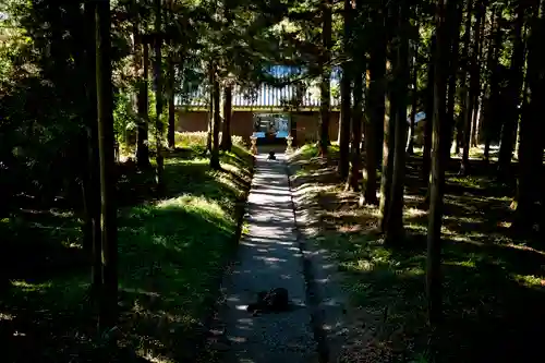 山宮浅間神社の建物その他