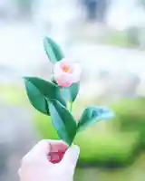 浄土寺(兵庫県)