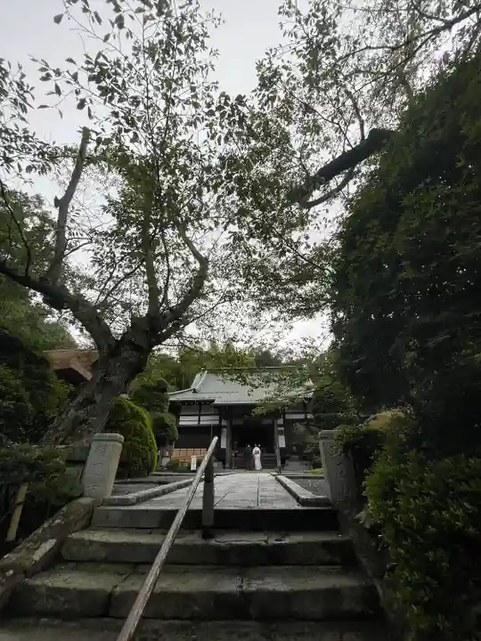 報国寺(神奈川県)