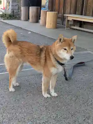 感通寺(東京都)