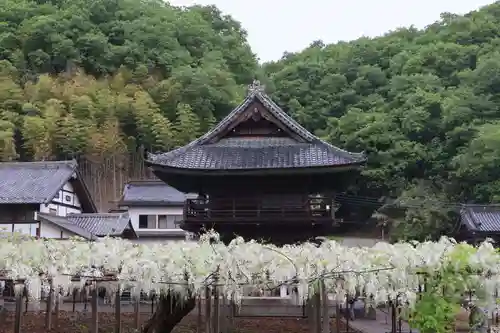 長泉寺の景色