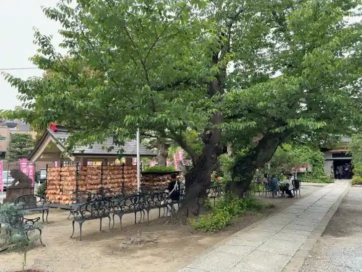 今戸神社(東京都)