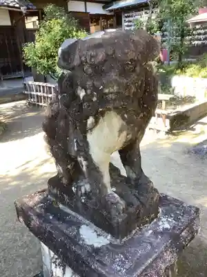 御首神社の狛犬