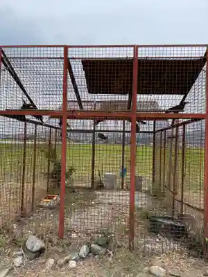 小川月神社(京都府)