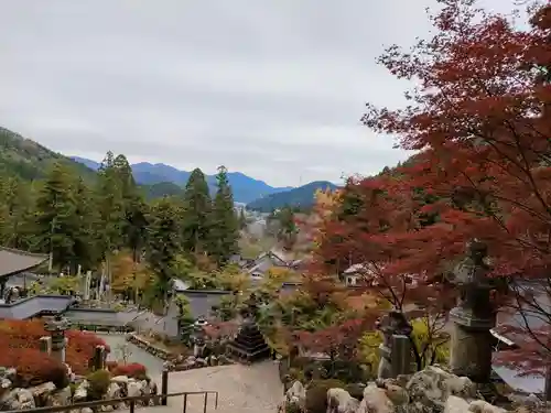 華厳寺の景色