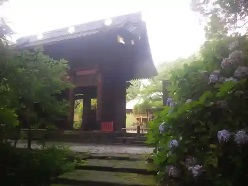 妙本寺の山門・神門