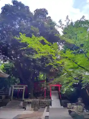 乃木神社のその他建物