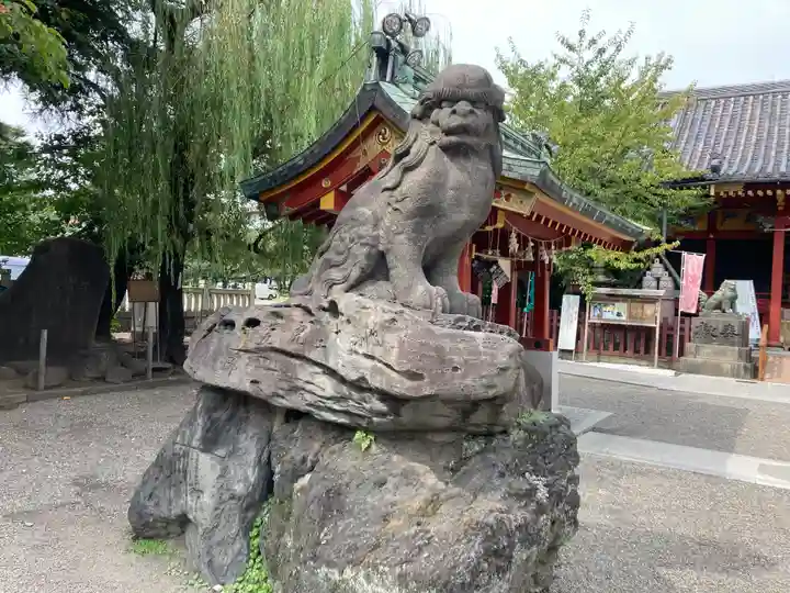 浅草神社の狛犬