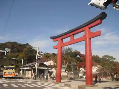 鶴岡八幡宮の鳥居