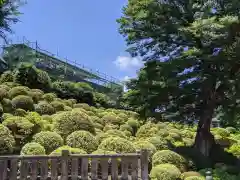 根津神社の庭園