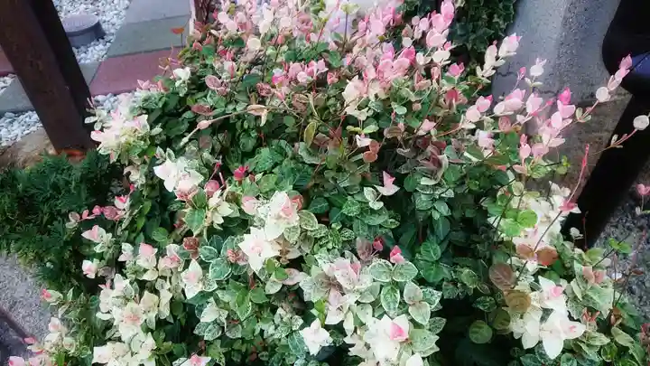 尾張猿田彦神社の周辺