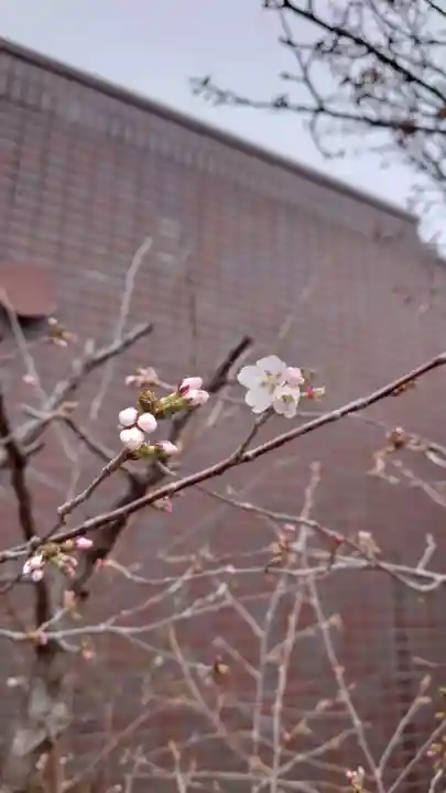 相馬神社(北海道)