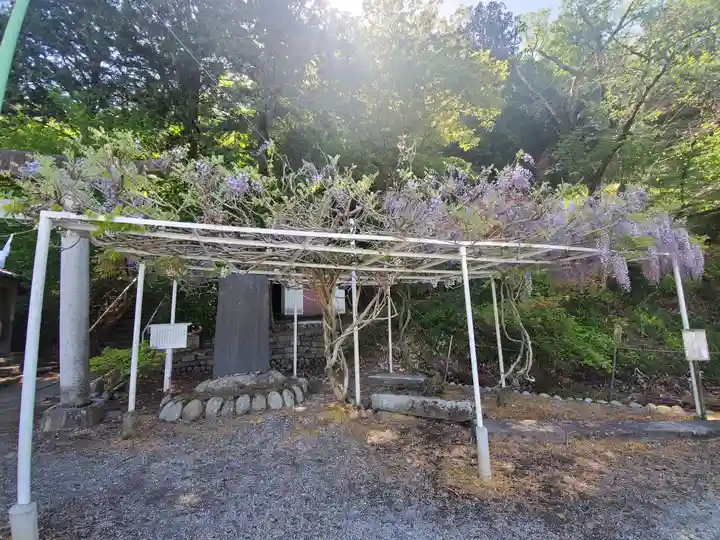 水使神社の自然