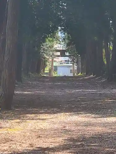 千代ケ岡八幡宮(栃木県)