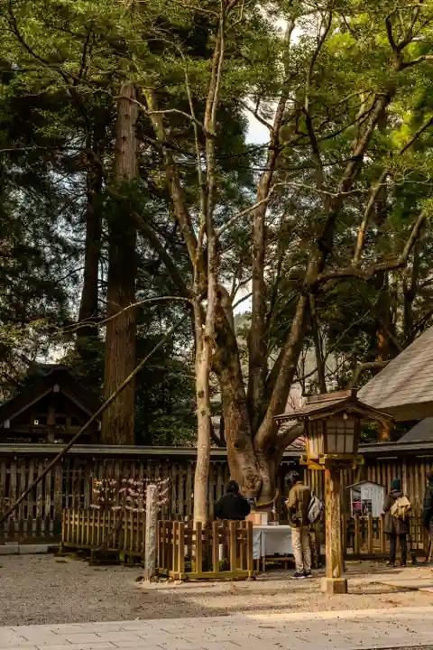 天岩戸神社(宮崎県)