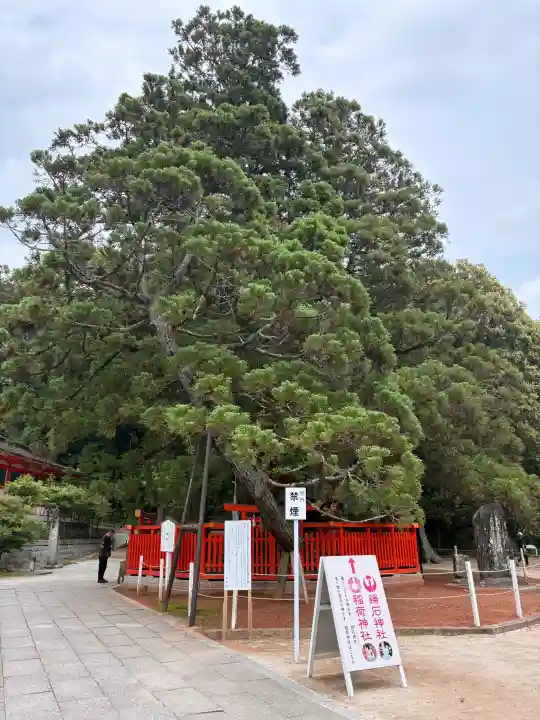 香椎宮の{uncategorized: "未分類", other: "その他", undefined: "問題あり", building: "その他建物", grave: "お墓", sacred_gate: "鳥居", guardian: "狛犬", statue: "像", buddha: "仏像", history: "歴史", nature: "自然", garden: "庭園", animal: "動物", pagoda: "塔", temizu: "手水舎", mountain_gate: "山門・神門", sanctuary: "本殿・本堂", subordinate: "末社・摂社", art: "芸術", scenery: "景色", jizo: "地蔵", ema: "絵馬", goshuin: "御朱印", omikuji: "おみくじ", items: "授与品その他", amulet: "お守り", goshuincho: "御朱印帳", eats: "食事", festival: "お祭り", votive_dance: "神楽", shichigosan: "七五三参", wedding: "結婚式", experience: "体験その他", initially: "初詣", around: "周辺", anti_infection: "感染症対策"}