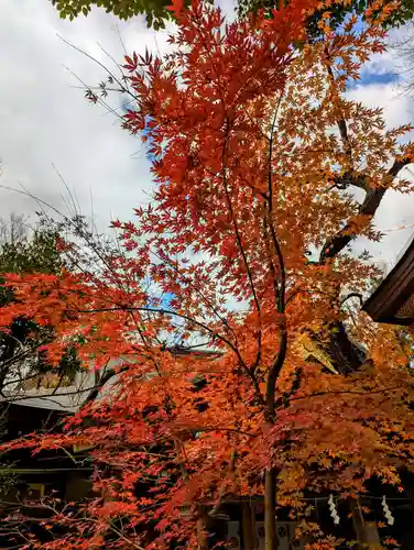 愛宕神社の自然