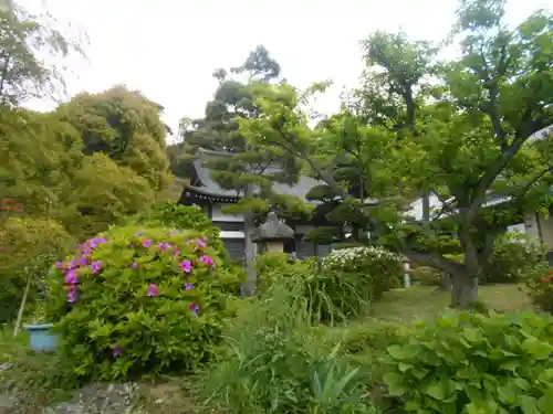 仏行寺（佛行寺）の庭園