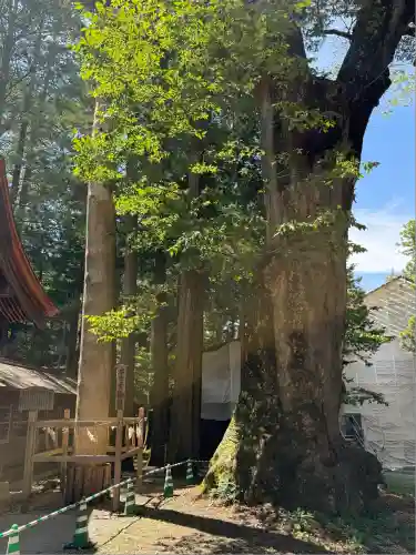 諏訪大社(長野県)