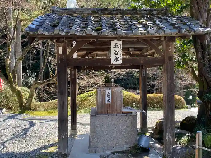 今熊野観音寺(京都府)