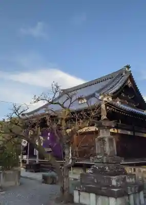 廬山寺(廬山天台講寺)(京都府)