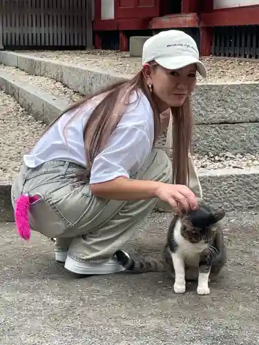 薦神社(大分県)