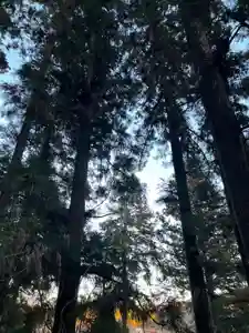 大宮温泉神社(栃木県)(2024年02月04日(日) 07時56分02秒投稿)