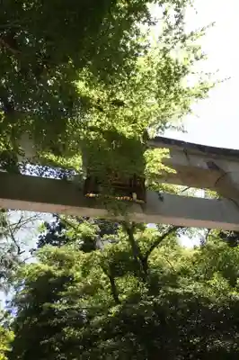 井伊神社(滋賀県)