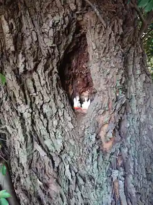 五社稲荷社の狛犬