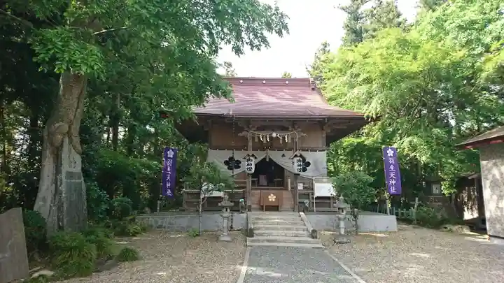 羽生天神社の本殿・本堂