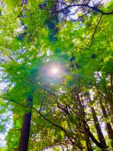 香取神宮(千葉県)