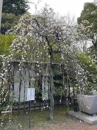 川口神社(埼玉県)