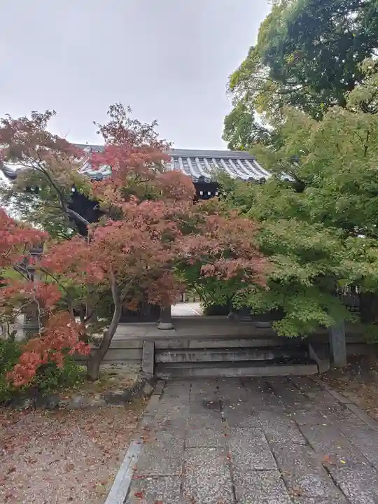 遍照院(埼玉県)