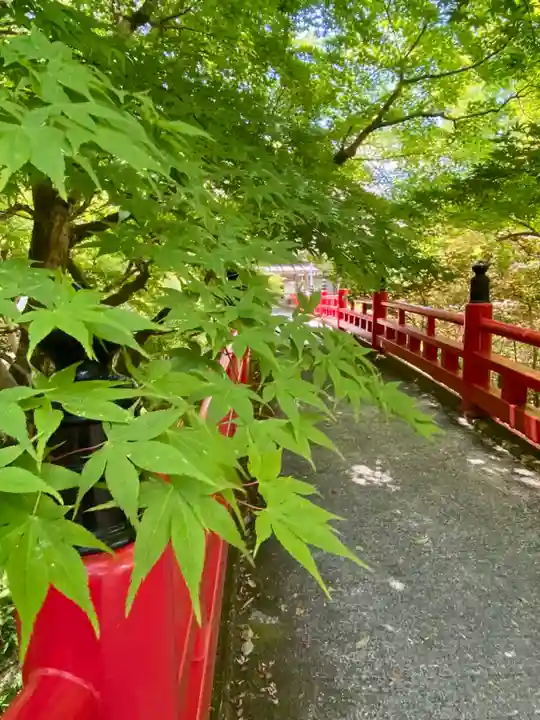 養父神社(兵庫県)
