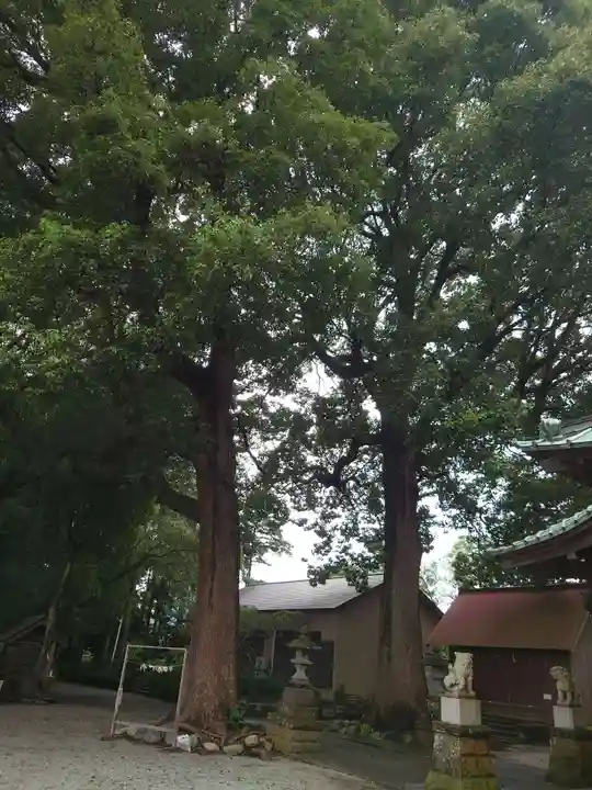 五社神社のその他建物