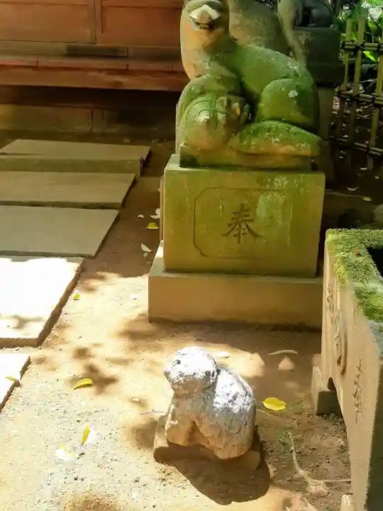 渋谷氷川神社の狛犬