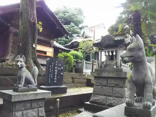 浅間神社の狛犬